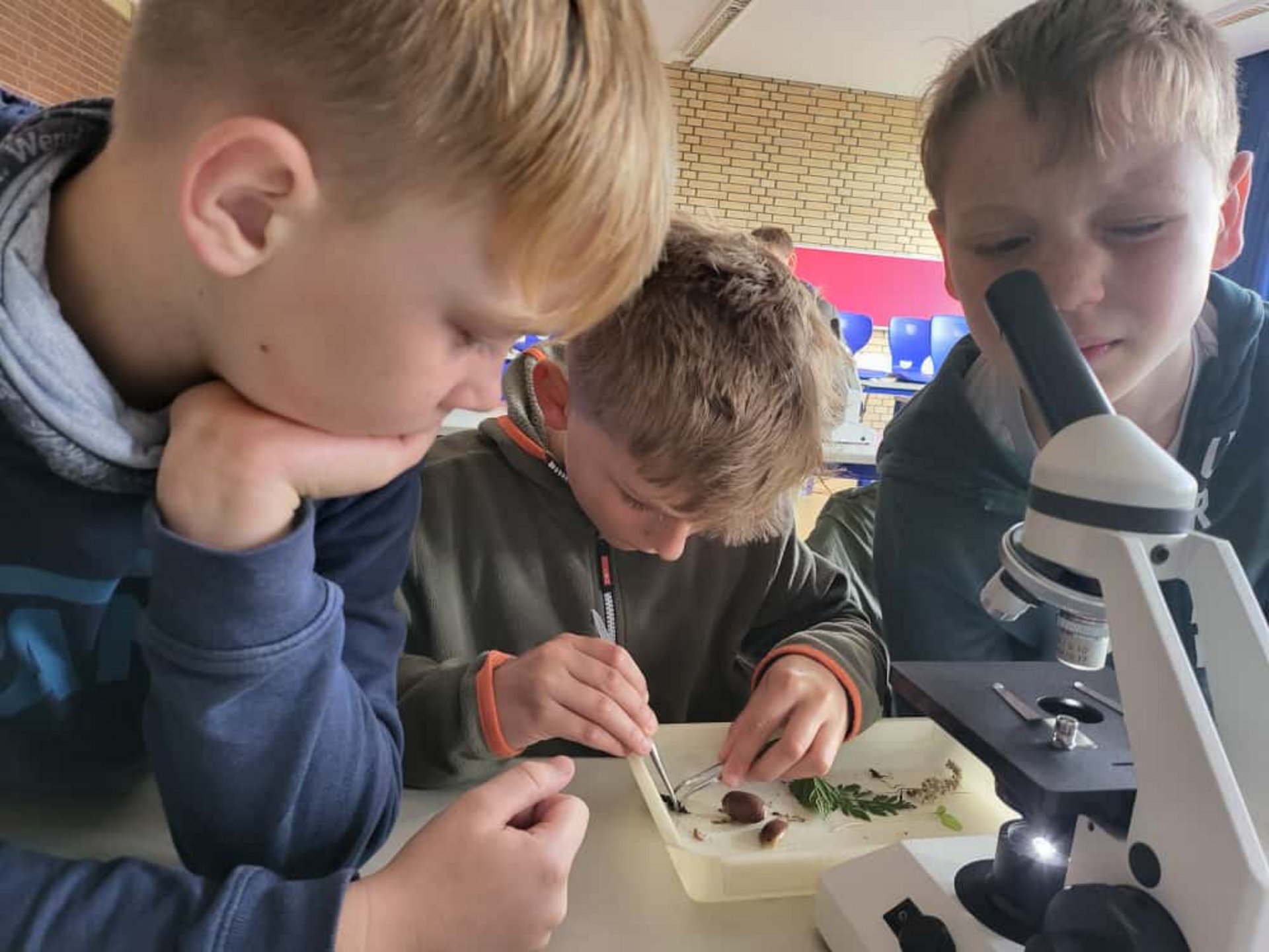 Niels__Cosmo__Jonathan