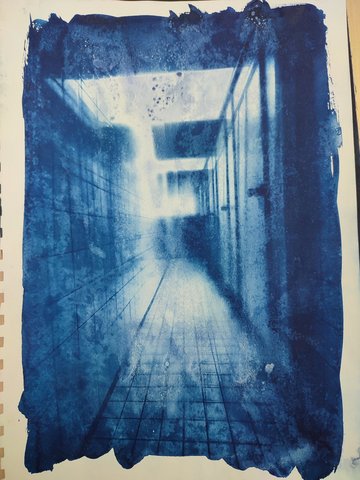 Unort_Johanneum__Cyanotypie__Kl